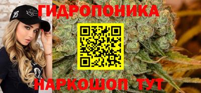 хмурый Бийск