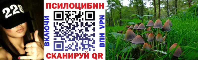 Галлюциногенные грибы мицелий Кисловодск