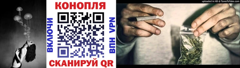 darknet наркотические препараты  Кисловодск  Конопля THC 21% 